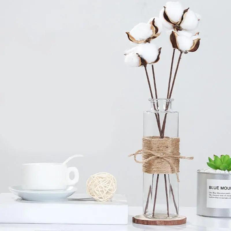 Minimalistisk glasvase, gennemsigtigt glas af høj kvalitet, perfekt til blomster og hydroponiske planter - elegant borddekoration
