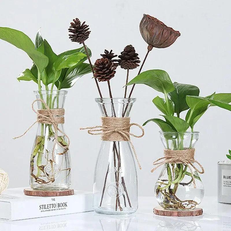 Minimalistisk glasvase, gennemsigtigt glas af høj kvalitet, perfekt til blomster og hydroponiske planter - elegant borddekoration