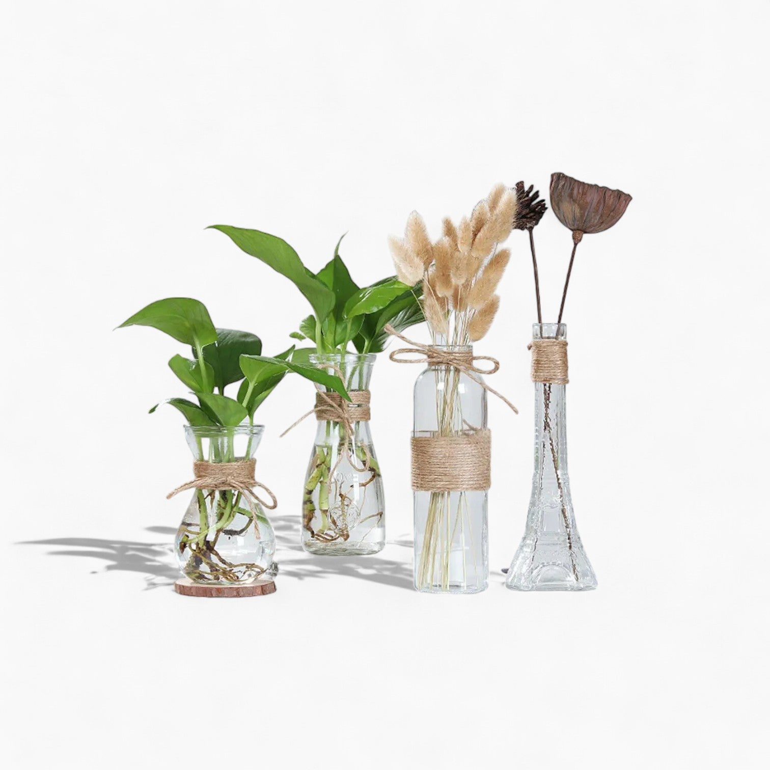 Minimalistisk glasvase, gennemsigtigt glas af høj kvalitet, perfekt til blomster og hydroponiske planter - elegant borddekoration